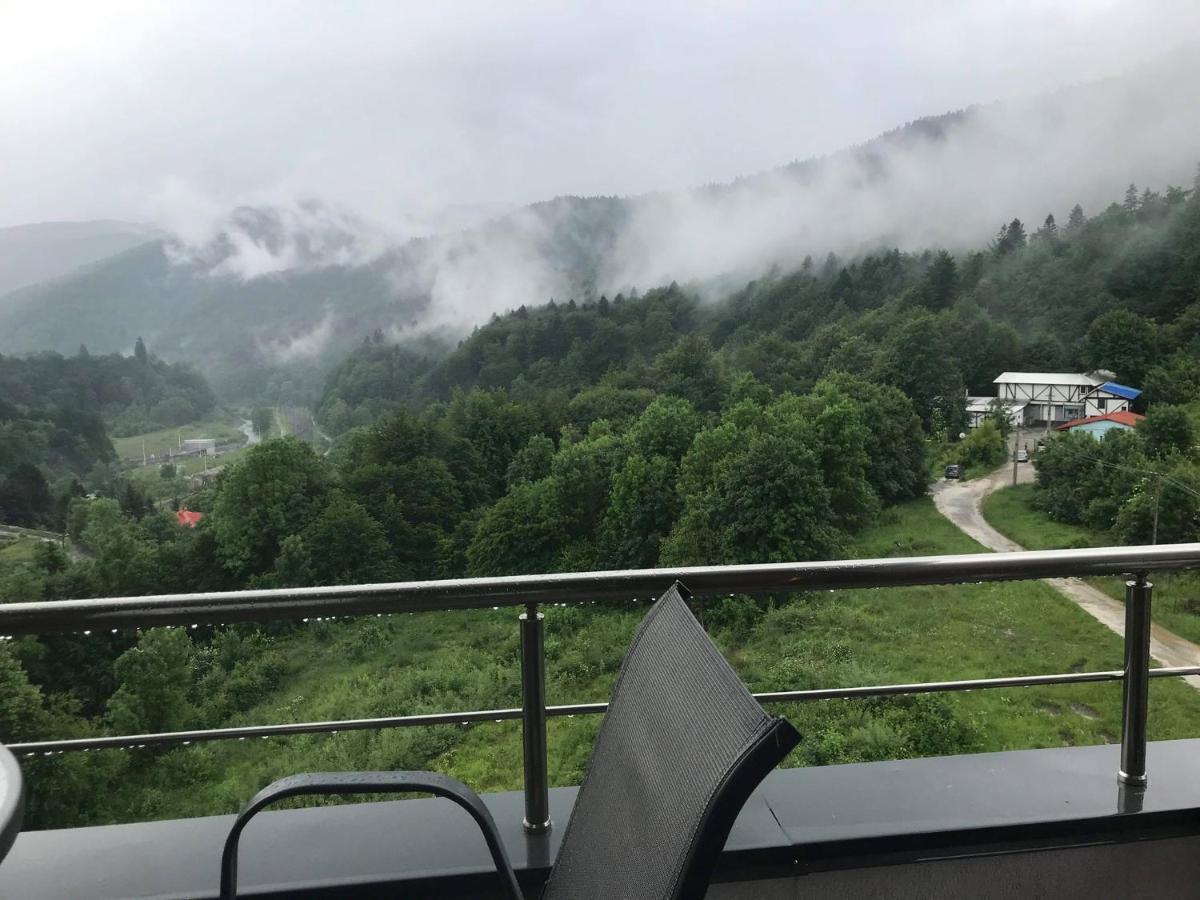 Mountain Residence Sinaia Kültér fotó