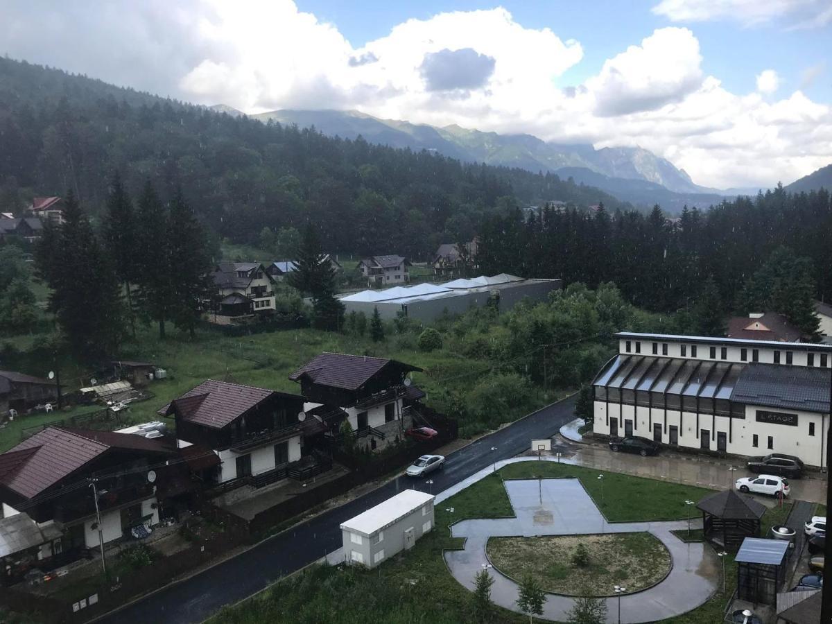 Mountain Residence Sinaia Kültér fotó