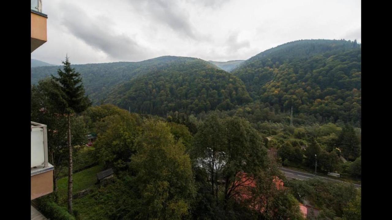 Mountain Residence Sinaia Kültér fotó