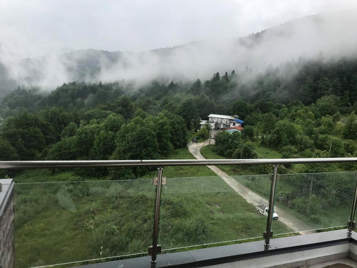 Mountain Residence Sinaia Kültér fotó
