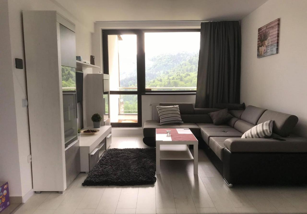 Mountain Residence Sinaia Kültér fotó